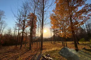 509 Blackberry Ln, Rumford, ME 04276 - Photo 43