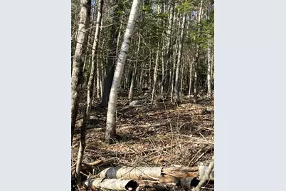 M10L24-2N Us-201, West Forks, ME 04985 - Photo 7