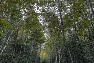 Lot 11-1 Carry Ridge Rd, Northfield, ME 04686 - Photo 1