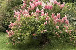 26 Is Vw Dr, Greene, ME 04236 - Photo 39