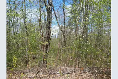 41 Federal Road, Fryeburg, ME 04037 - Photo 5