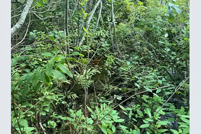 0 Cross Street, Manchester, ME 04351 - Photo 53