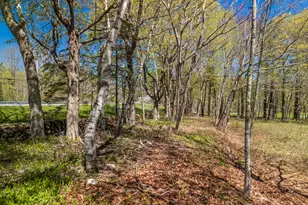 Lot 1 Roxmont Rd, Rockport, ME 04856 - Photo 5