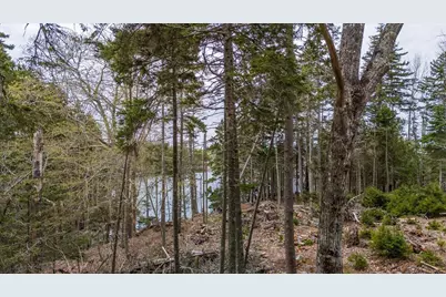 Map 22 Lot 4B Big Tree Lane, Islesboro, ME 04848 - Photo 13