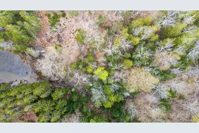 Map 22 Lot 4B Big Tree Lane, Islesboro, ME 04848 - Photo 11