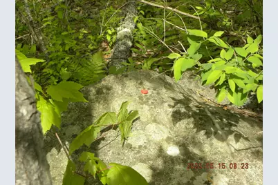 Lot 35 Bennett Road, Alfred, ME 04002 - Photo 5