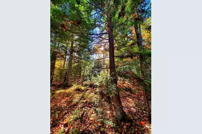 0 Blackcat Pt Drive, Princeton, ME 04668 - Photo 39