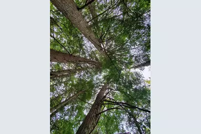 0 Blackcat Pt Drive, Princeton, ME 04668 - Photo 29