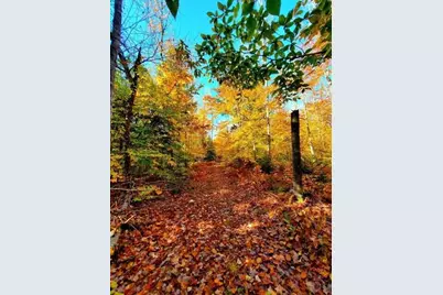 0 Blackcat Pt Drive, Princeton, ME 04668 - Photo 45