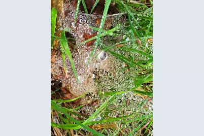 0 Blackcat Pt Drive, Princeton, ME 04668 - Photo 35