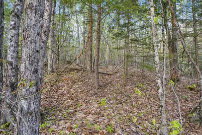 1, 23, 24 Cottage Shore Drive, Holden, ME 04429 - Photo 15