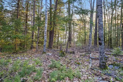 1, 23, 24 Cottage Shore Drive, Holden, ME 04429 - Photo 5