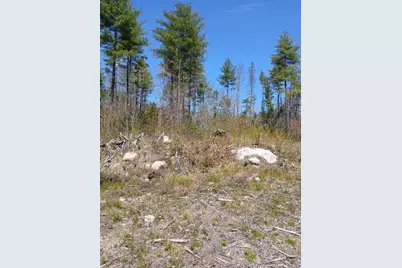 40 Eleanor Mae Road, Deblois, ME 04622 - Photo 33