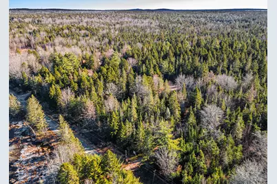 175 Chicken Mill Pond Road, Gouldsboro, ME 04607 - Photo 43