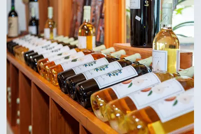 175 Chicken Mill Pond Road, Gouldsboro, ME 04607 - Photo 5