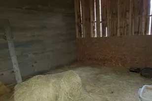 259-265 Bowden Point Rd, Prospect, ME 04981 - Photo 65