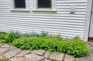 15 Highland Ave, Wilton, ME 04294 - Photo 41