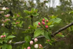 696 Lebanon Rd, Winterport, ME 04496 - Photo 1