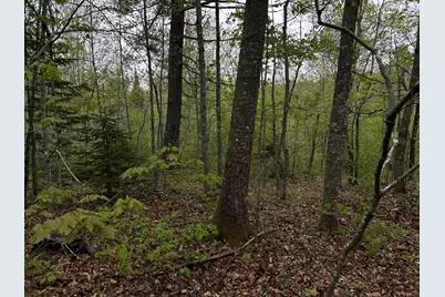 696 Lebanon Road, Winterport, ME 04496 - Photo 3