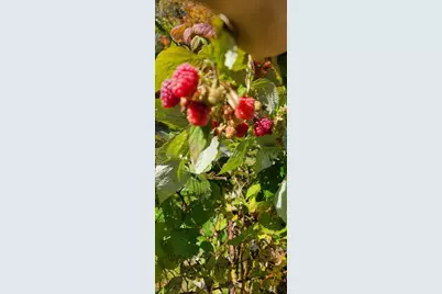 34 Highview Ave., Hancock, ME 04640 - Photo 29