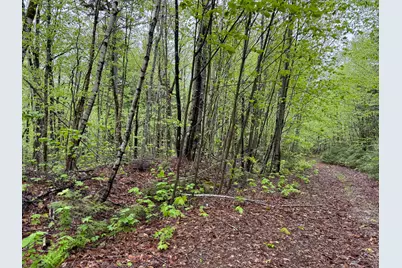 M7L16 Upper Pug Road W, Lakeville, ME 04487 - Photo 37