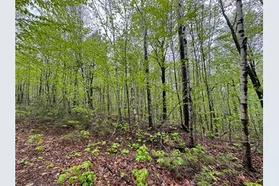 M7L16 Upper Pug Road W, Lakeville, ME 04487 - Photo 39