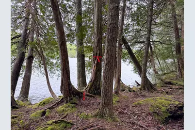 M7L16 Upper Pug Road W, Lakeville, ME 04487 - Photo 33