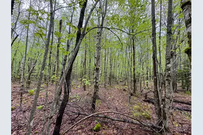 M7L16 Upper Pug Road W, Lakeville, ME 04487 - Photo 41