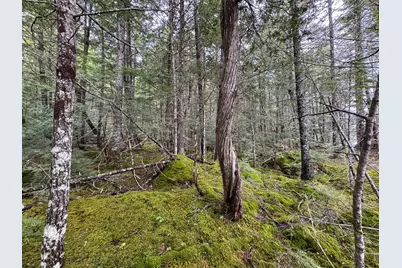 M7L16 Upper Pug Road W, Lakeville, ME 04487 - Photo 31