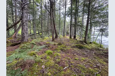 M7L16 Upper Pug Road W, Lakeville, ME 04487 - Photo 23