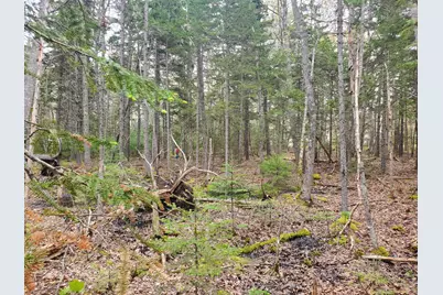 36 Eastwood Court, Bristol, ME 04539 - Photo 7