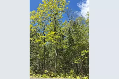 Lot#10 Shamrock Lane, Damariscotta, ME 04543 - Photo 9