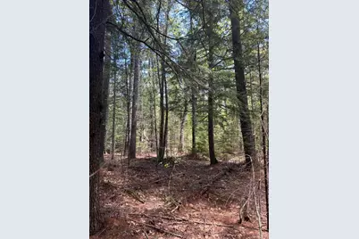 Lot#10 Shamrock Lane, Damariscotta, ME 04543 - Photo 13