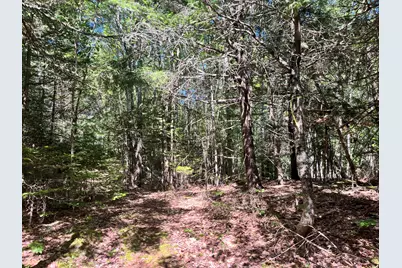 0 Pine Hill Lane, Blue Hill, ME 04614 - Photo 5