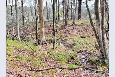 11 Coastal Pines Lot 5, Cumberland, ME 04021 - Photo 15