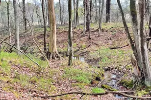 11 Coastal Pines Lot 5, Cumberland, ME 04021 - Photo 15