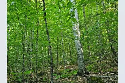 Po M23-L6 Great Moose Drive, Hartland, ME 04943 - Photo 3