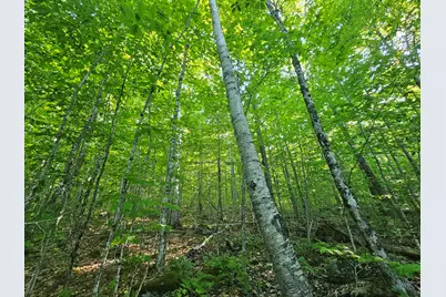 Po M23-L6 Great Moose Drive, Hartland, ME 04943 - Photo 3