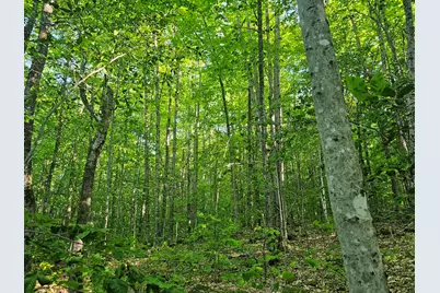 Po M23-L6 Great Moose Drive, Hartland, ME 04943 - Photo 7