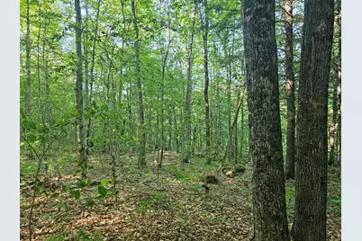 Pl5,6,9,10 Great Moose Drive, Hartland, ME 04493 - Photo 9