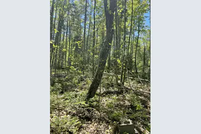 M 8 L 16 Fowles Road, Searsmont, ME 04973 - Photo 3