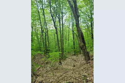 233 Weld Road, Phillips, ME 04966 - Photo 37