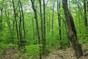 233 Weld Rd, Phillips, ME 04966 - Photo 37