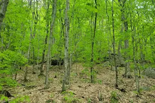 233 Weld Rd, Phillips, ME 04966 - Photo 35