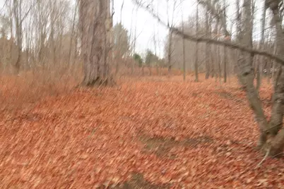 226 Pond Road, Manchester, ME 04351 - Photo 5