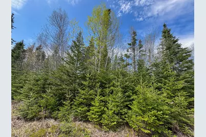 M2L3-M6L16 Campbell Road, Whiting, ME 04691 - Photo 21