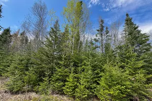 M2L3-M6L16 Campbell Rd, Whiting, ME 04691 - Photo 21