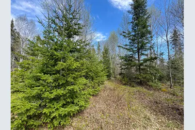 M2L3-M6L16 Campbell Road, Whiting, ME 04691 - Photo 23