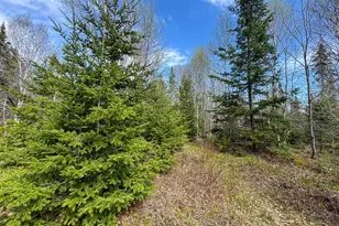 M2L3-M6L16 Campbell Rd, Whiting, ME 04691 - Photo 23