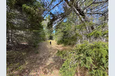 M2L3-M6L16 Campbell Road, Whiting, ME 04691 - Photo 19